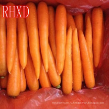 2017 экспорта свежей моркови в Индонезию
